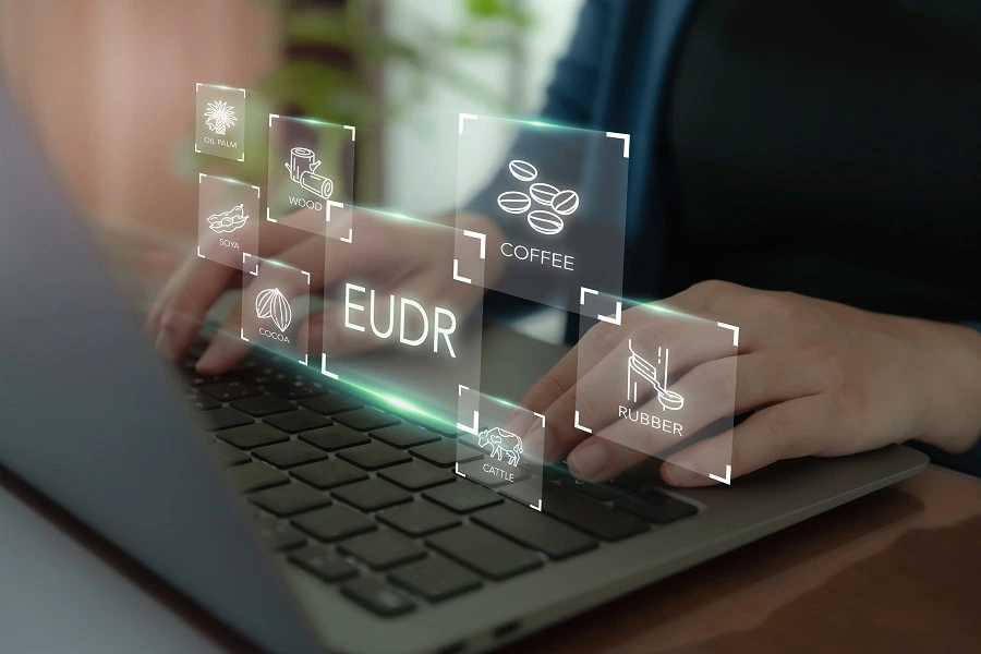man's hand typing on laptop keyboard with eudr and food symbols hovering over keyboard